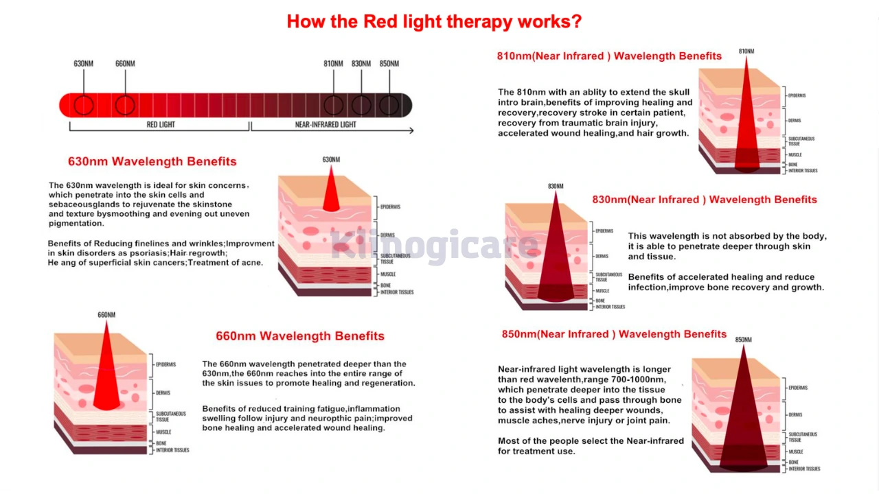 Schema delle lunghezze d'onda 660 nm e 850 nm nella terapia con luce rossa e vicino infrarosso